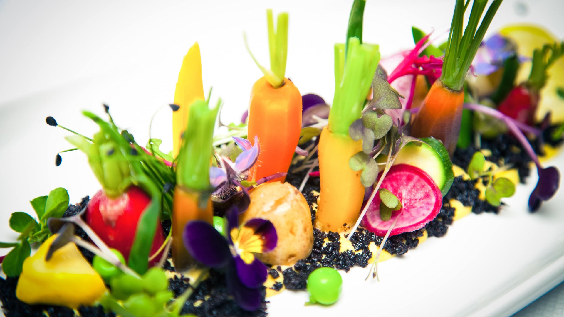 Bunte Miniaturgemüse sichtbar arrangiert, ruhend auf einer Schicht aus dunklen Krümeln, umgeben von essbaren Blüten und Sprossen, auf einem eleganten weißen Teller präsentiert.